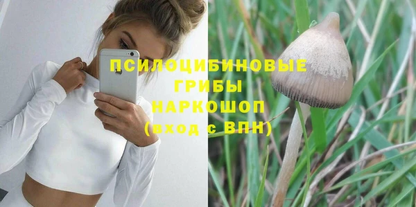 дживик Алексеевка