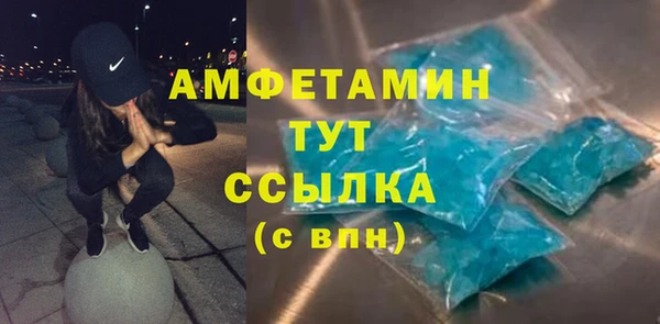хмурый Алексин