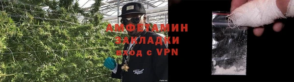 сатива Алзамай