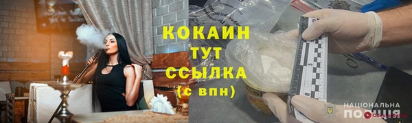 мяу мяу мука Аркадак