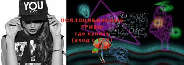 дживик Алексеевка