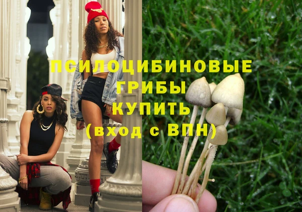 мяу мяу мука Аркадак