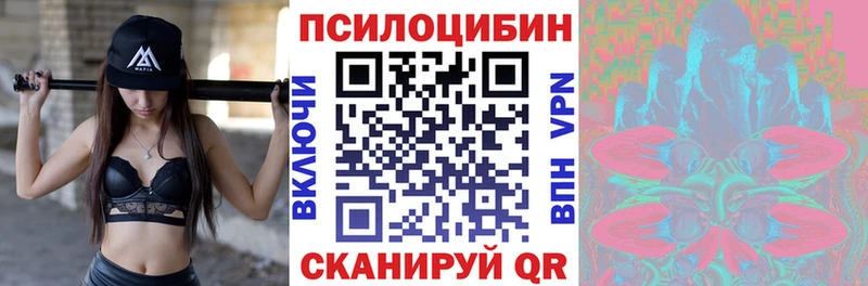 Псилоцибиновые грибы MAGIC MUSHROOMS  blacksprut маркетплейс  Багратионовск  как найти  